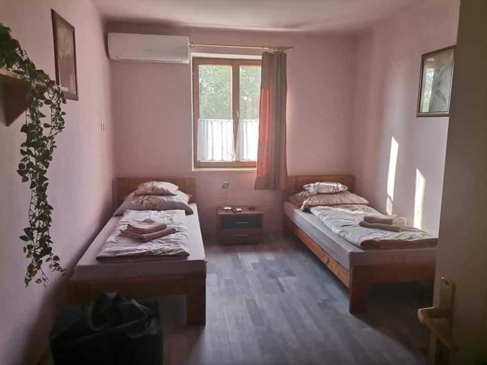 Pazsit-To Vendeghaz Daire Békésszentandrás Dış mekan fotoğraf
